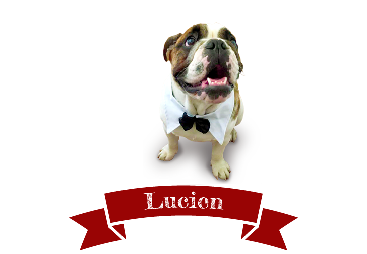 Lucien du restaurant Chez Lucien à Lyon